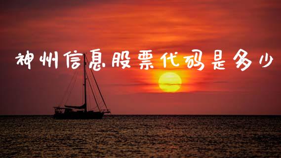 神州信息股票代码是多少_https://www.apanben.com_在线喊单_第1张