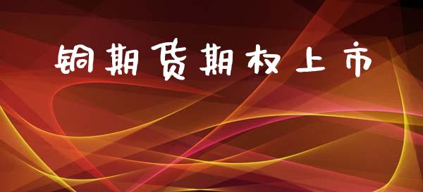 铜期货期权上市_https://www.apanben.com_股市指导_第1张