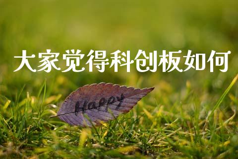 大家觉得科创板如何_https://www.apanben.com_财经资讯_第1张