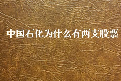 中国石化为什么有两支股票_https://www.apanben.com_股市指导_第1张