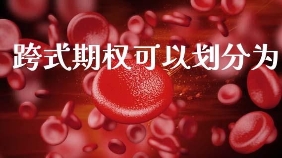 跨式期权可以划分为_https://www.apanben.com_国际期货_第1张