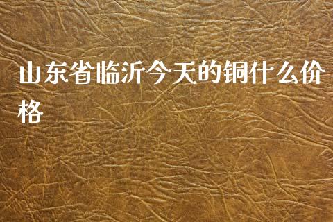 山东省临沂今天的铜什么价格_https://www.apanben.com_期货学院_第1张