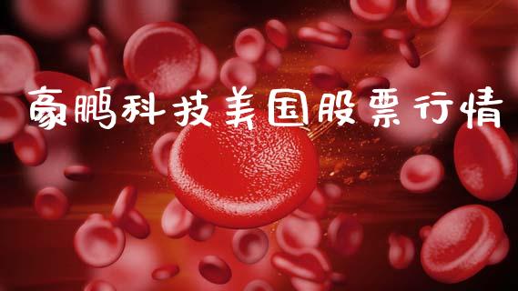 豪鹏科技美国股票行情_https://www.apanben.com_股票怎么玩_第1张