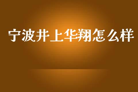 宁波井上华翔怎么样_https://www.apanben.com_国际期货_第1张
