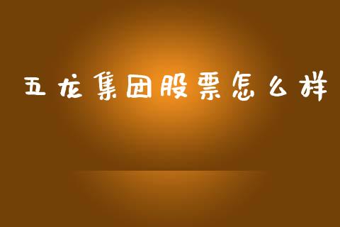 五龙集团股票怎么样_https://www.apanben.com_期货学院_第1张