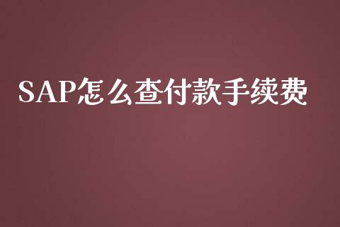 SAP怎么查付款手续费_https://www.apanben.com_国际期货_第1张