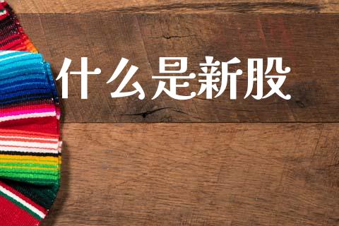 什么是新股_https://www.apanben.com_在线喊单_第1张