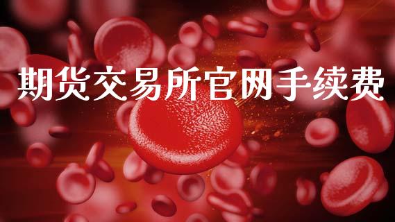 期货交易所官网手续费_https://www.apanben.com_国际财经_第1张