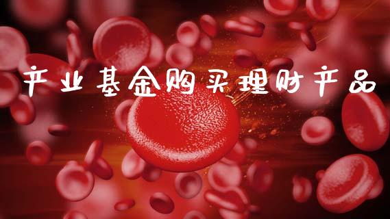 产业基金购买理财产品_https://www.apanben.com_财经资讯_第1张