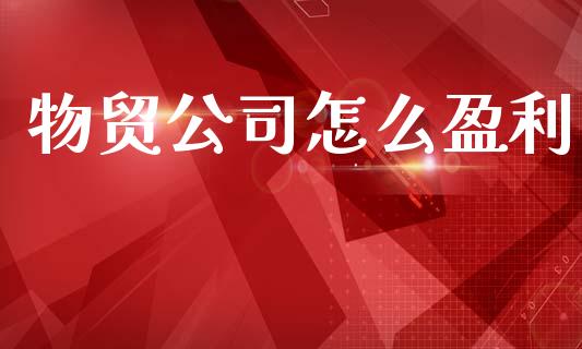 物贸公司怎么盈利_https://www.apanben.com_财经资讯_第1张