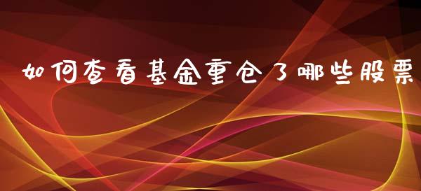 如何查看基金重仓了哪些股票_https://www.apanben.com_股市分析_第1张