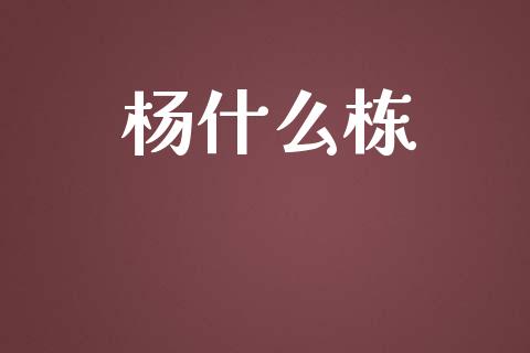 杨什么栋_https://www.apanben.com_国际财经_第1张