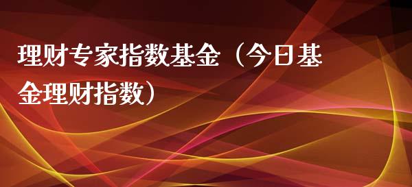 理财专家指数基金（今日基金理财指数）_https://www.apanben.com_财经资讯_第1张