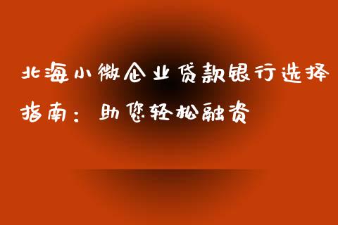 北海小微企业贷款银行选择指南：助您轻松融资_https://www.apanben.com_股市指导_第1张