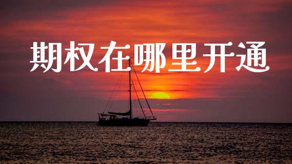 期权在哪里开通_https://www.apanben.com_期货学院_第1张