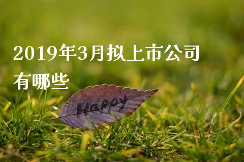 2019年3月拟上市公司有哪些_https://www.apanben.com_股票怎么玩_第1张