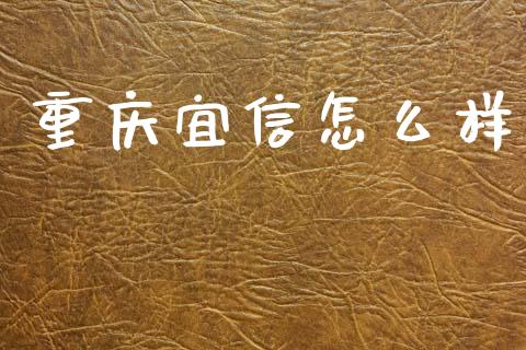 重庆宜信怎么样_https://www.apanben.com_期货学院_第1张