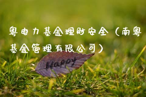 粤电力基金理财安全（南粤基金管理有限公司）_https://www.apanben.com_国际财经_第1张
