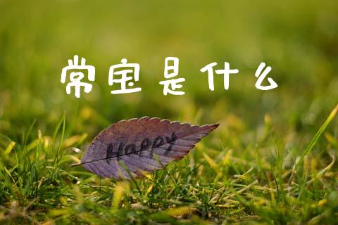 常宝是什么_https://www.apanben.com_财经资讯_第1张