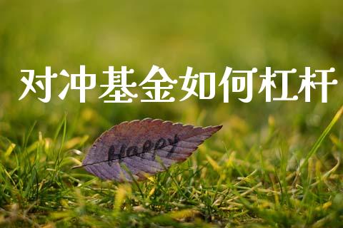 对冲基金如何杠杆_https://www.apanben.com_期货学院_第1张