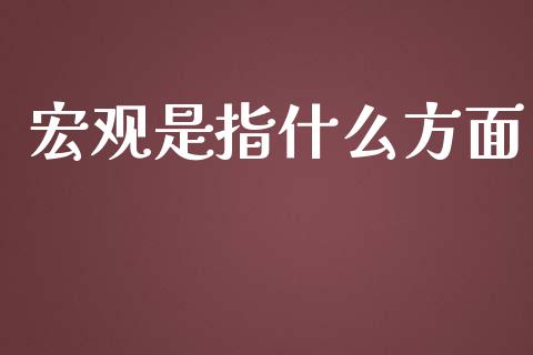 宏观是指什么方面_https://www.apanben.com_国际财经_第1张