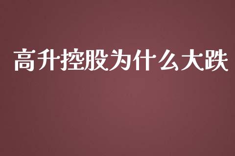 高升控股为什么大跌_https://www.apanben.com_在线喊单_第1张