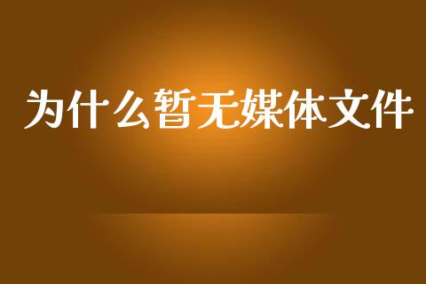 为什么暂无媒体文件_https://www.apanben.com_国际财经_第1张