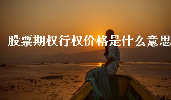 股票期权行权价格是什么意思_https://www.apanben.com_在线喊单_第1张