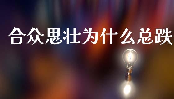 合众思壮为什么总跌_https://www.apanben.com_在线喊单_第1张