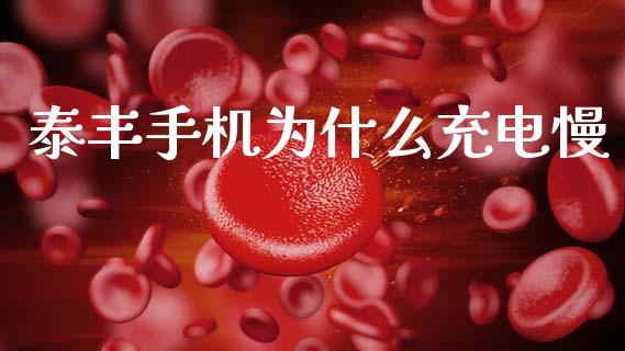 泰丰手机为什么充电慢_https://www.apanben.com_国际财经_第1张