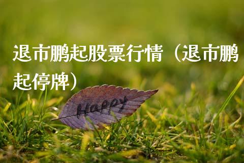 退市鹏起股票行情（退市鹏起停牌）_https://www.apanben.com_股市分析_第1张