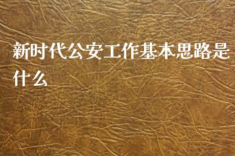 新时代公安工作基本思路是什么_https://www.apanben.com_股市指导_第1张