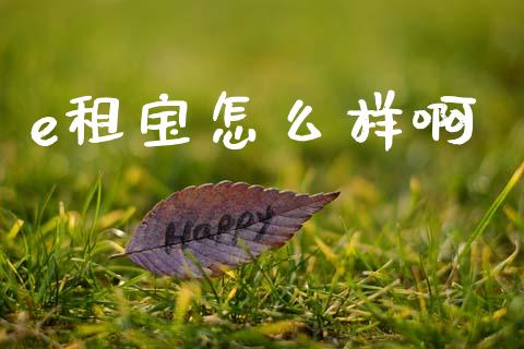 e租宝怎么样啊_https://www.apanben.com_股市分析_第1张
