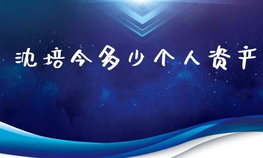 沈培今多少个人资产_https://www.apanben.com_股市指导_第1张