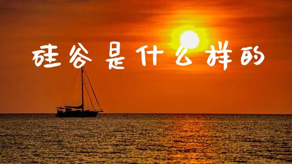 硅谷是什么样的_https://www.apanben.com_国际期货_第1张