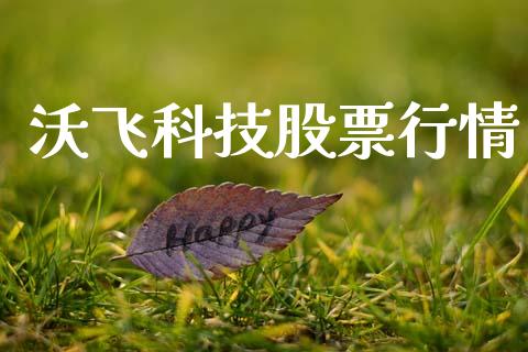 沃飞科技股票行情_https://www.apanben.com_股票怎么玩_第1张
