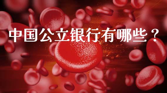 中国公立银行有哪些？_https://www.apanben.com_股市分析_第1张