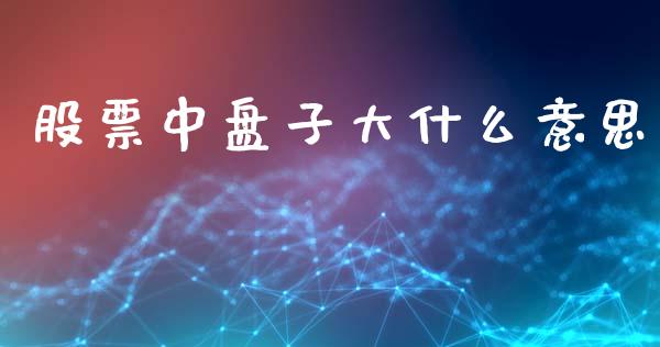 股票中盘子大什么意思_https://www.apanben.com_在线喊单_第1张