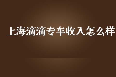 上海滴滴专车收入怎么样_https://www.apanben.com_股市分析_第1张