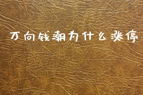 万向钱潮为什么涨停_https://www.apanben.com_在线喊单_第1张