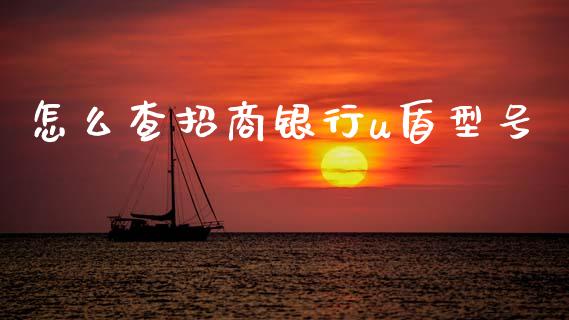 怎么查招商银行u盾型号_https://www.apanben.com_国际财经_第1张