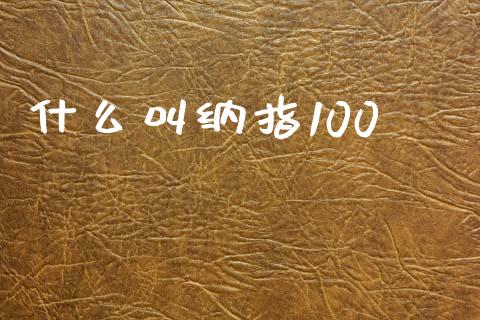 什么叫纳指100_https://www.apanben.com_财经资讯_第1张