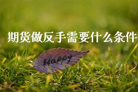 期货做反手需要什么条件_https://www.apanben.com_国际期货_第1张