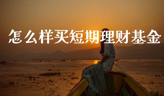 怎么样买短期理财基金_https://www.apanben.com_财经资讯_第1张