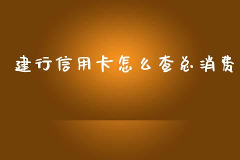 建行信用卡怎么查总消费_https://www.apanben.com_国际财经_第1张