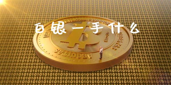 白银一手什么_https://www.apanben.com_股市指导_第1张