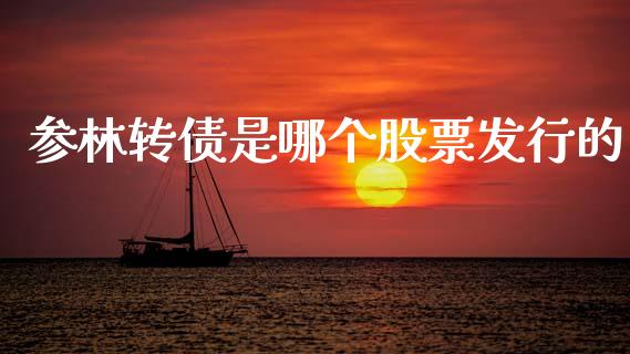 参林转债是哪个股票发行的_https://www.apanben.com_股票怎么玩_第1张
