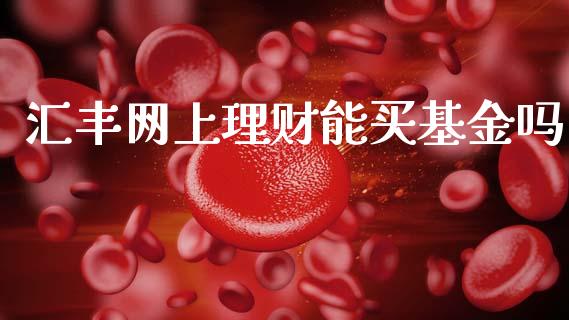 汇丰网上理财能买基金吗_https://www.apanben.com_财经资讯_第1张