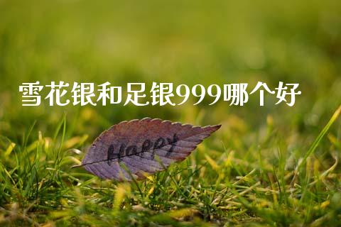 雪花银和足银999哪个好_https://www.apanben.com_财经资讯_第1张