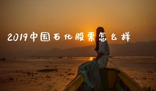 2019中国石化股票怎么样_https://www.apanben.com_期货学院_第1张